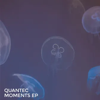 Moments EP by Quantec