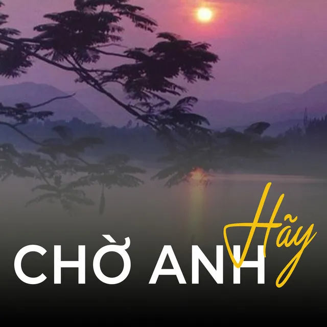 Hãy chờ anh