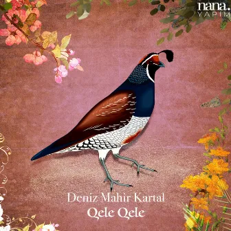 Qele Qele (Live) by Deniz Mahir Kartal