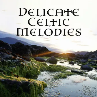 Delicate Celtic Melodies (Soothing Harp) by World of Celtic Music