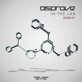 In The Lab Remix EP by Disprove