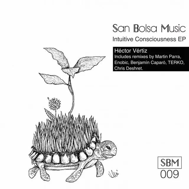 Salsa - Enobic Remix