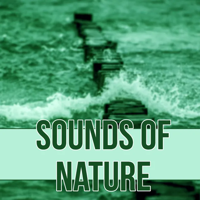 Sounds of Nature – Serenity Lullabies with Relaxing Nature Sounds, Insomnia Therapy, Sleep Music to Help You Relax