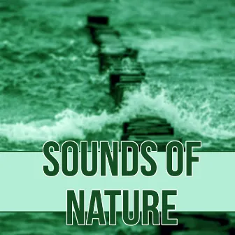 Sounds of Nature – Serenity Lullabies with Relaxing Nature Sounds, Insomnia Therapy, Sleep Music to Help You Relax by Lovely Nature Music Zone