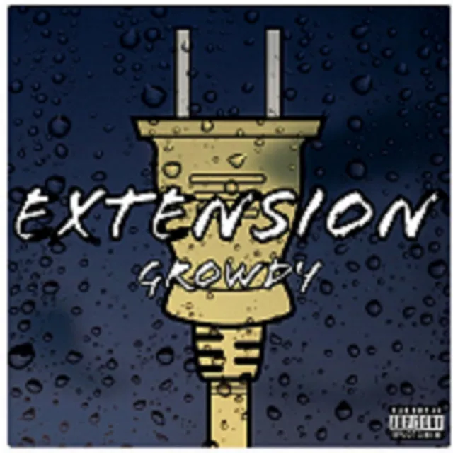 Extension