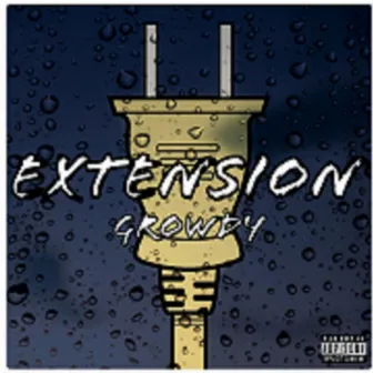 Extension by Growdy