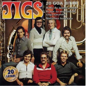 20 Goa bitar by Jigs