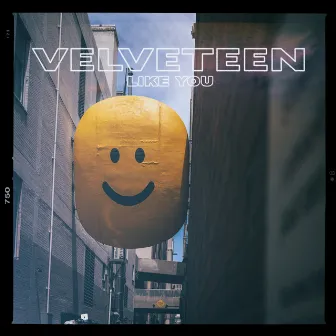 Like You by Velveteen