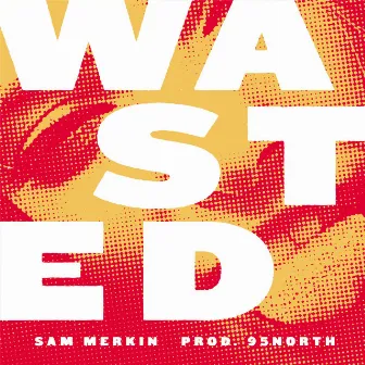 Wasted by Sam Merkin