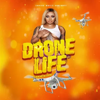 Drone Life by Ermack 1 Don