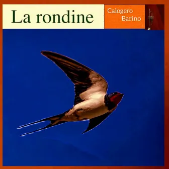 La rondine by Calogero Barino