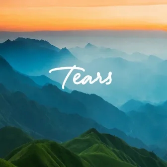 Tears by Lissy Lategan