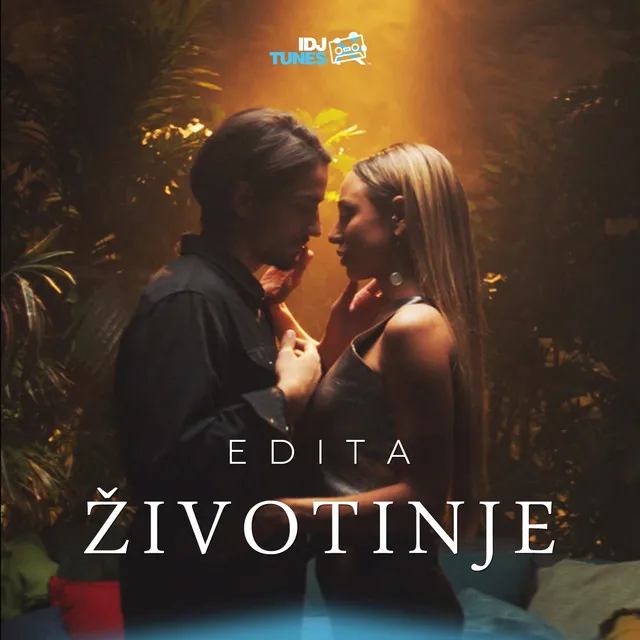 Zivotinje