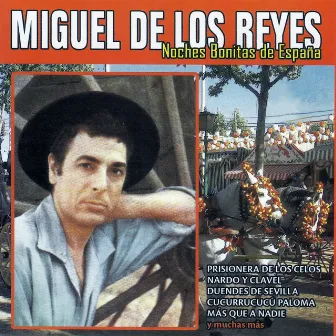 Noches Bonitas de España by Miguel De Los Reyes