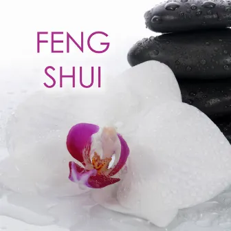 Feng Shui - Canciones para Relajamiento y Meditaciòn by Feng Shui