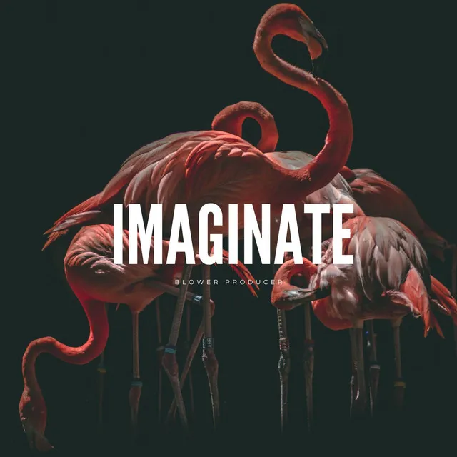 Imaginate