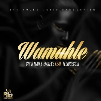 Wamuhle by Sir D Man