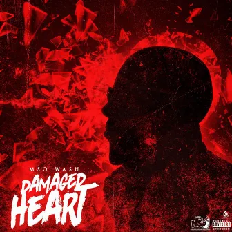 Damaged Heart by MSO Wash