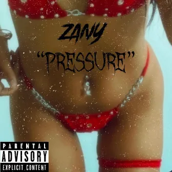 PRESSURE BABY by Zany Williams