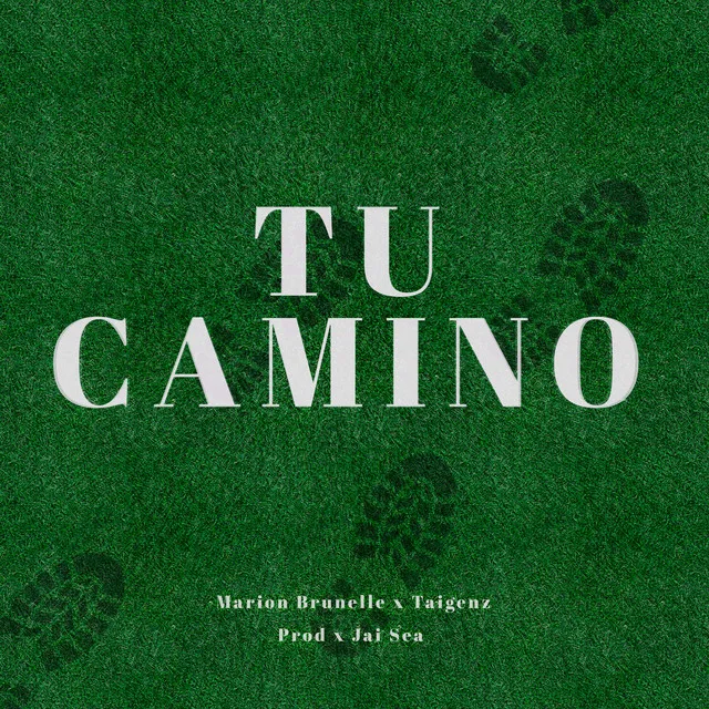 Tu Camino