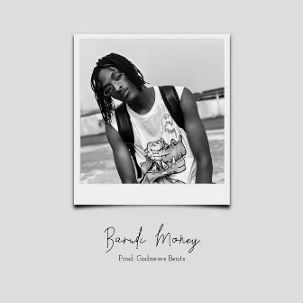 Barudi Money (Because I too Get Money) by Leroy Sparkz