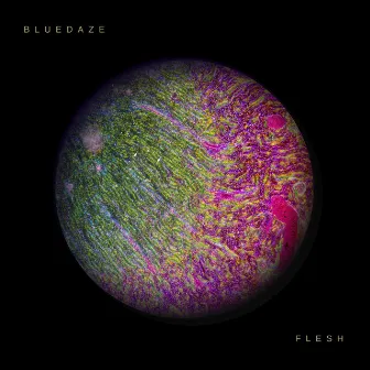 FLESH by Bluedaze