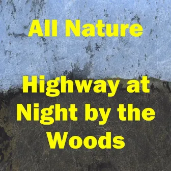 Highway at Night by the Woods by All Nature