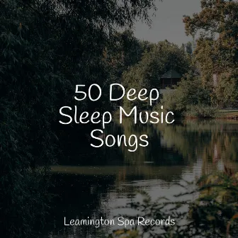 50 Deep Sleep Music Songs by White Noise For Baby Sleep