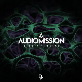 Deadly/Evolve by Audiomission