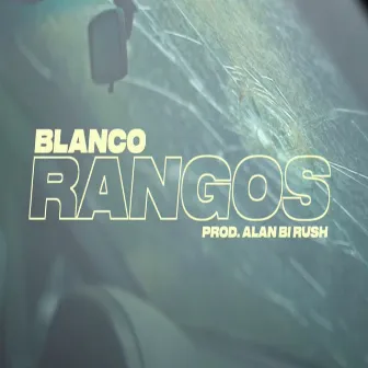 Rangos by Blanco 43720