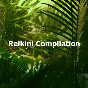 Reikini Compilation by Reikini