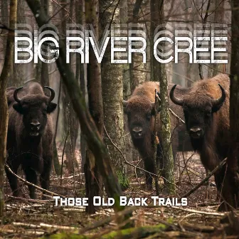 Those Old Back Trails by Big River Cree