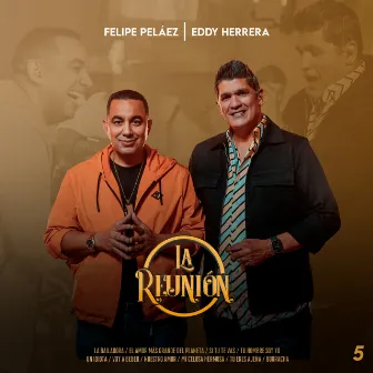 La Reunión 5 : La Bailadora / El Amor Más Grande del Planeta / Si Tu Te Vas / Tu Hombre Soy Yo / Un Idiota / Voy a Beber / Nuestro Amor / Mi Celosa Hermosa / Tú Eres Ajena / Borracha (En Vivo) by La Reunión