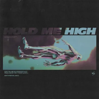 hold me high by Alley