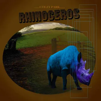 Rhinoceros by Coley Park