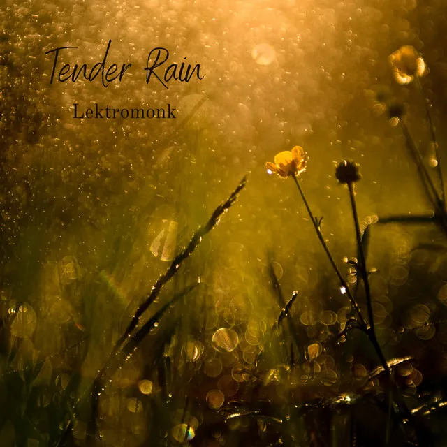 Tender Rain