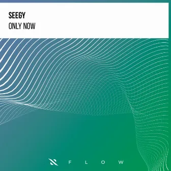 Only Now by Seegy