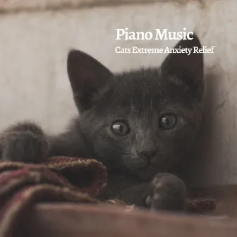 Piano Music: Cats Extreme Anxiety Relief by PianoDeuss