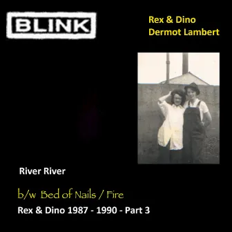 Rex & Dino 1987 - 1990, Pt. 3 by Dermot Lambert