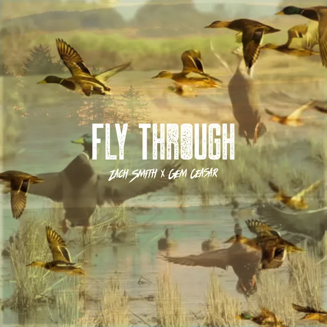 Fly Through