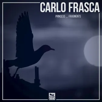 Princess / Fragments by Carlo Frasca