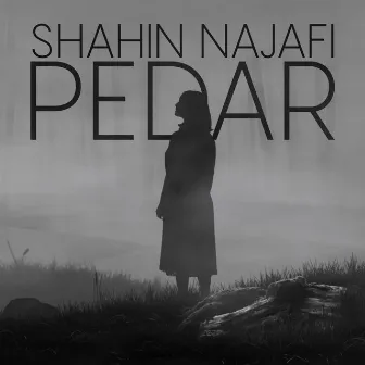 Pedar by Shahin Najafi