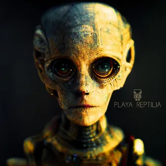 PLAYA REPTILIA by Tierra De Ovnis