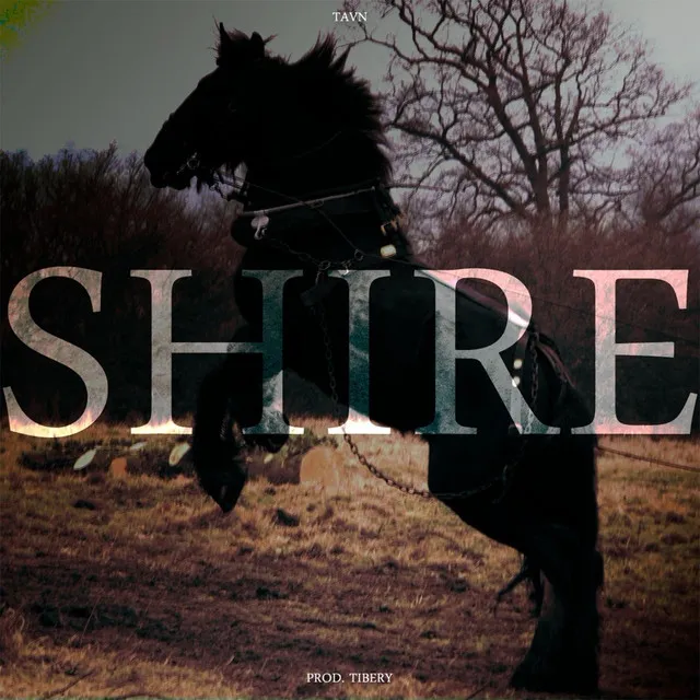 Shire