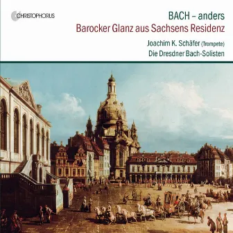 Bach (Anders) by Joachim Schäfer