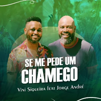 Se Me Pede um Chamego by Vini Siqueira