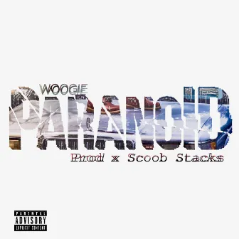 Paranoid by Woogie