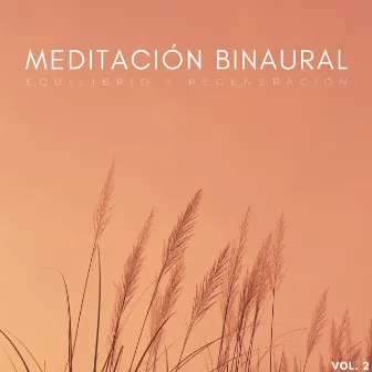 Meditación Binaural: Equilibrio Y Regeneración Vol. 2 by Meditación y Relajación