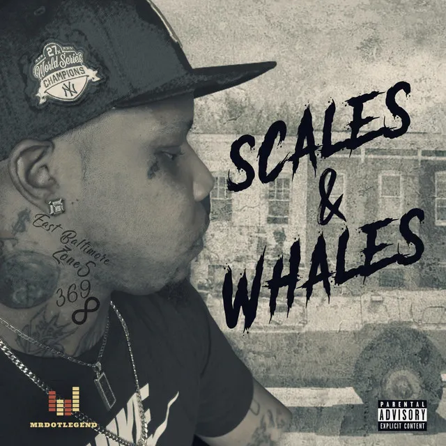 Scales & Whales