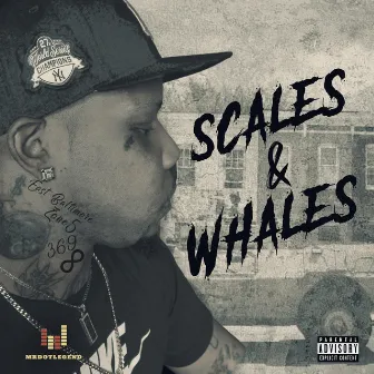 Scales & Whales by MrDotLegend